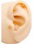 Cerrrahi Çelik Piercing ( Pirsing ) Mini Kuzey Yıldızı Tragus Helix Piercing (1ADET) 1