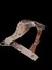 Köpek Göğüs Tasması küçük ırk hakiki deri vizon göğüs ölçüsü:30-60cm ayarlamalı dog harness Gt1-34 3