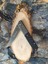 Browning A02 Çakı – 22,5 cm Siyah Metal Saplı 5
