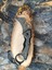 Çakı – 17 cm Siyah Metal Gövdeli 3