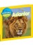 National Geographic Kids Dünyamızı Keşfedin Aslanlar 1