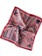 2 Li Saten Bandana Seti Saten Fular Saten Çanta Aksesuarı Özel Desen Bandana 45X50 cm 3
