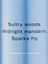 RUSH – Vücut Spreyi 250 ml 2