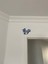 Yeni Geometrik Sincap Duvar Heykeli T3041695 2