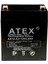AX12-4.2 12 Volt 4.2 Amper Kuru Akü (90X70X101 Mm) 1