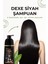 3’lü Siyah Saç Şampuanı Seti 420 ml | Ekonomik Paket, 5 Dakikada Sonuç 3