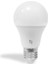 Redeem A60S E27 LED Ampul, Titreşimsiz, Göz Konforu, Tekli, 585 Lümen, Soğuk Beyaz, 6500 Kelvin 3