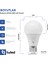 Redeem A60S E27 LED Ampul, Titreşimsiz, Göz Konforu, Tekli, 585 Lümen, Soğuk Beyaz, 6500 Kelvin 4