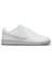 Nike Court ROYALE-DH3159-100 1