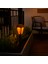 Solar Flame LED Saplama 1