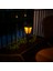 Solar Flame LED Saplama 2