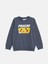 Lcw Kids Gri Bisiklet Yaka Baskılı Erkek Çocuk Sweatshirt 4