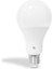 Redeem A80S E27 LED Ampul, Titreşimsiz, Göz Konforu, Tekli, 1389 Lümen, Tuled Beyazı, 5000 Kelvin 3