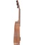UK21B Soprano Ukulele Kelebek Kılıflı 3