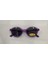 MOD4916 C105 44 Polarize Çocuk Güneş Gözlüğü 3