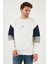 Pamuklu Relaxed Fit Bisiklet Yaka Şardonlu Renk Bloklu Sweat Erkek Sweat 5905298T 4
