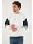 Pamuklu Relaxed Fit Bisiklet Yaka Şardonlu Renk Bloklu Sweat Erkek Sweat 5905298T 5