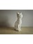 Voronoi Kedi Heykeli P831347 3D 2