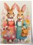 Çerçevesiz Poster, Elbiseli Tavşanlar, Çocuk Odası Dekoru Poster No: 112431 1