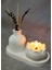 Dekoratif Vintage Vazo ve Lotus Mum Set 3 Parça-Kokulu Mum Şık Objeler 4