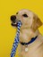 Köpekler Için Diş Ipi 32CM Dayanıklı Sağlam 3