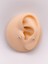 Cerrrahi Çelik Piercing ( Pirsing ) Nazar Boncuklu Tragus Helix Piercing (1ADET) 2