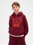 Erkek Çocuk Bordo Vintagesoft Gap Logo Sweatshirt 6