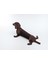 Yeni Süper Esnek Dachshund (Sadece Plastik Aparattır!!!) 1
