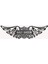 Yeni Harley-Davidson Wings 2d Duvar-Sanat (Sadece Plastik Aparattır!!!) 4