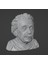 Yeni Albert Einstein Supportfree (Düşük Poli) (Sadece Plastik Aparattır!!!) 1