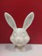 Yeni Bunny_bust P (Sadece Plastik Aparattır!!!) 1