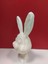 Yeni Bunny_bust P (Sadece Plastik Aparattır!!!) 2
