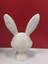 Yeni Bunny_bust P (Sadece Plastik Aparattır!!!) 3