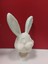 Yeni Bunny_bust P (Sadece Plastik Aparattır!!!) 4