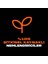 Premium Collection 3'ü 1 Arada Duş Jeli 300 ml – Copper Santal, Limon, Mandalina ve Bergamot Aromalı, Vücut Saç Yüz İçin 11