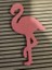 Yeni Mektup Tahtası Flamingo Dekorasyonu P (Sadece Plastik Aparattır!!!) 1