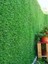 1,5x3 Metre Çim Çit, Bahçe Çiti, Dekoratif Telli Çit, Yapay Çim Çit 4
