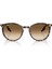 Güneş Gözlüğü RB2204 51 143151 5