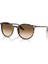 Güneş Gözlüğü RB2204 51 143151 1