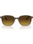 2193-53 138085 Güneş Gözlüğü 2