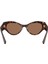 Güneş Gözlüğü DG4480 53 502/73 4