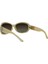 Güneş Gözlüğü ELG1372 C3 4