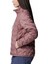 Delta Ridge Ii Down Jacket Kadın Mont WK5173 3