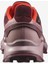 SUPERCROSS 4 GORE-TEX Kadın Koşu Ayakkabısı Tawny Port L47594500 5