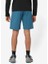 Wayfarer Ease Shorts M Erkek Şort 2