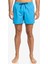 Everyday 15 Jamv Erkek Deniz Şortu 1