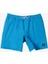 Everyday Solid Volley 15 Erkek Deniz Şortu 6