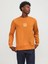 Jprblaleo Sweat Crew Neck Erkek Sweatshirt 1