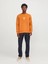 Jprblaleo Sweat Crew Neck Erkek Sweatshirt 2