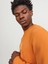 Jprblaleo Sweat Crew Neck Erkek Sweatshirt 4